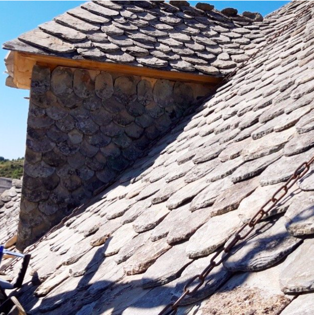 Nettoyage et démoussage de toiture : éliminer toutes les saletés de votre toit
